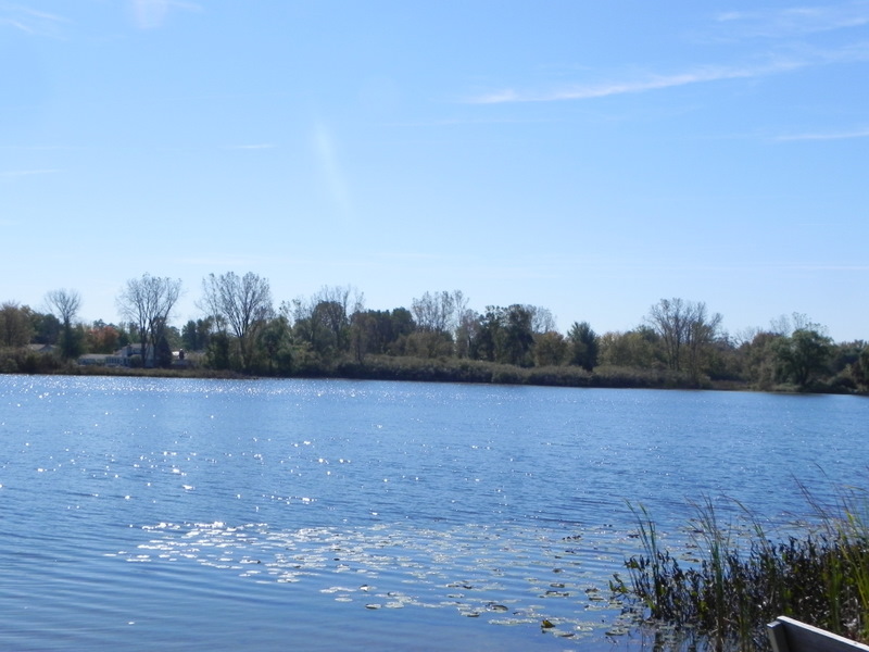 Oneida Lake Hamburg MI